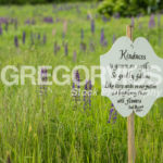 Sign in Lupine Fields