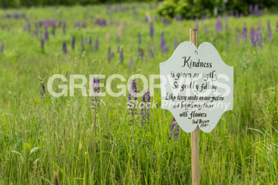 Sign in Lupine Fields